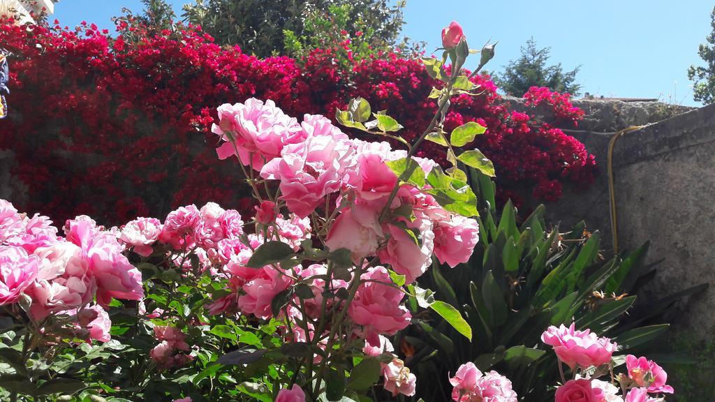 Back To Sorrento Bed & Breakfast Sant'Agnello Exterior foto